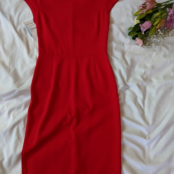 New, never worn with tags dress - Picture 3 of 5